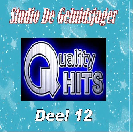 Quality Hits  Geluidsjager Deel 12 : Front